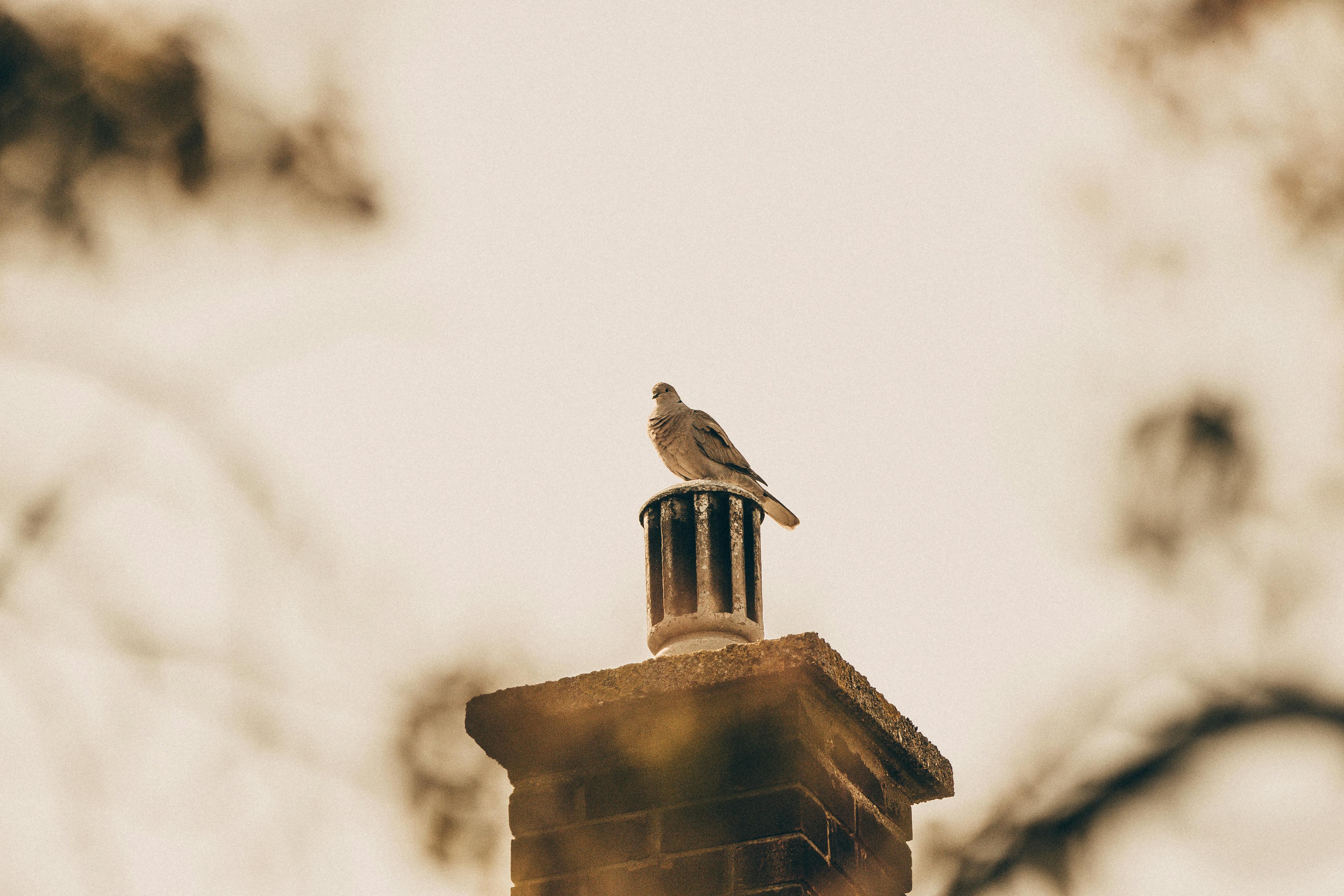 Professional Chimney Cap Installation Services in Groton, MA Expert Chimney Cap Installation in Groton, Massachusetts